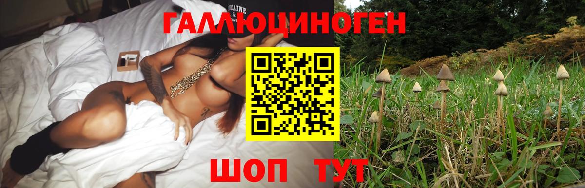 Галлюциногенные грибы Psilocybine cubensis  Галлюциногенные грибы прущие грибы  Корсаков  Вход с VPN 